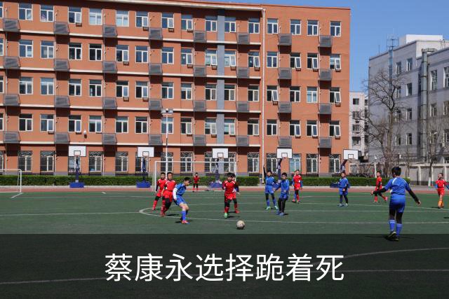 蔡康永选择跪着死