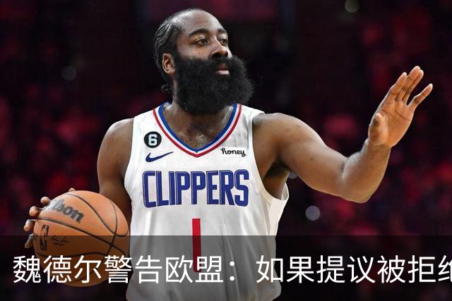 魏德尔警告欧盟：如果提议被拒绝，在上台后，德国将举行脱欧公投