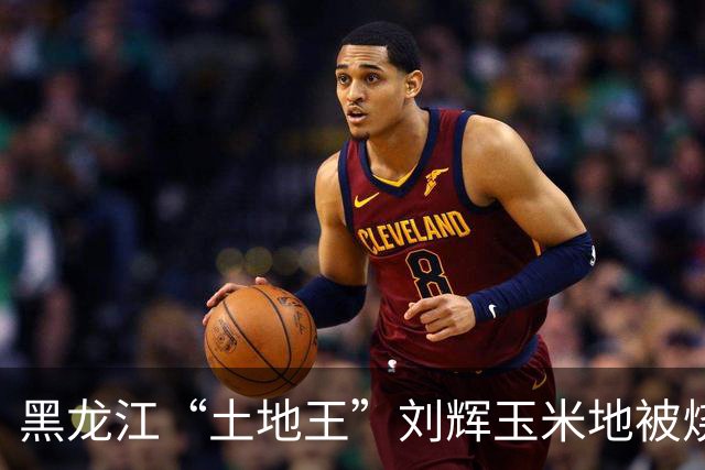 黑龙江“土地王”刘辉玉米地被烧后续来了！下架所有有关视频，自述前因后果
