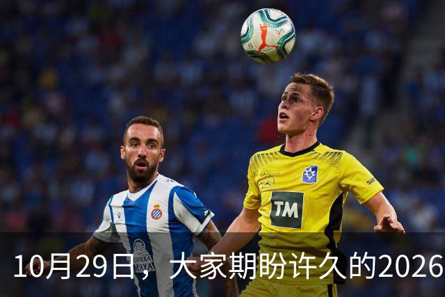 10月29日，大家期盼许久的2026年退休养老金，究竟涨还是不涨？